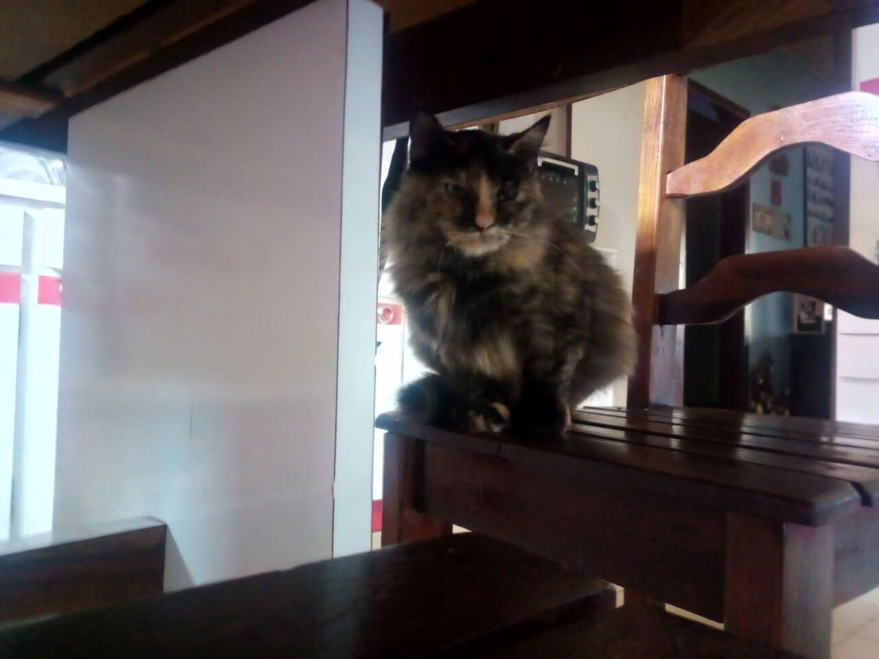 太阳冲垮勇士，爱德华兹在NBA总决赛接管比赛